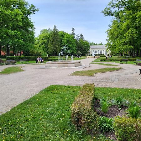 Villa Klara Cieplice Jelenia Góra Exteriör bild